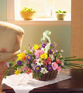 Mixed basket flowers