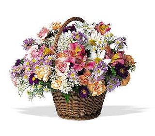 Mixed flower basket