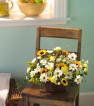 Mixed flowers Basket Mixed flowers Basket