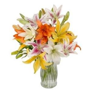 Mixed Lilies