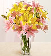 Mixed lily in vase