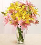 Mixed lily in vase Mixed lily in vase