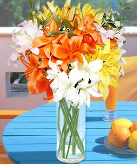 Mixed lily in vase large