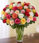 Mixed rose Mixed rose