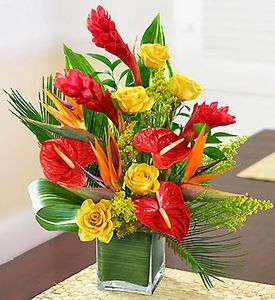 Mixed tropical order before 12hours delivery