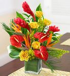 Mixed tropical order before 12hours delivery Mixed tropical order before 12hours delivery