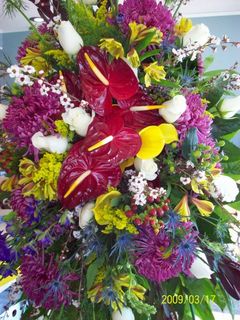 Mixed tropical flower Sympathy