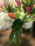 Color Tulip Valentine