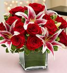 Modern Embrace Red Rose