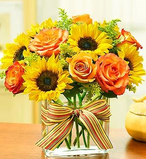 Modern Enchantment for Fall 