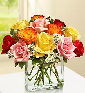 Modern Roses - One Dozen Assorted 