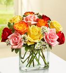 Modern Roses - One Dozen Assorted  Modern Roses - One Dozen Assorted
