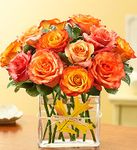 Modern Roses - One Dozen Orange 