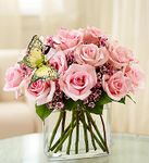 Modern Roses - One Dozen Pink 