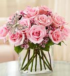 Modern Roses - One Dozen Pink Modern Roses - One Dozen Pink