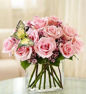 Modern Roses - One Dozen Pink 