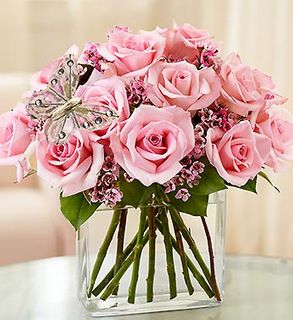 Modern Roses - One Dozen Pink 