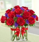 Modern Roses - One Dozen Red Modern Roses - One Dozen Red
