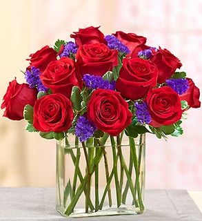 Modern Roses - One Dozen Red 
