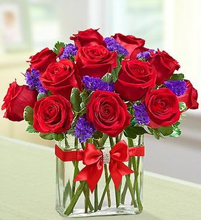 Modern Roses - One Dozen Red 