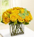 Modern Roses - One Dozen Yellow  Modern Roses - One Dozen Yellow