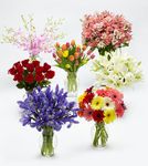 Monthly Flowers Gift Plan
