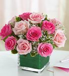 Mother's Day Roses 