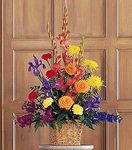  Multi-Color Arrangement