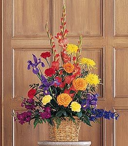  Multi-Color Arrangement