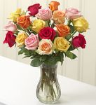 Multicolored Roses, 24 Stems Multicolored Roses, 24 Stems