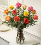 Multicolored Roses