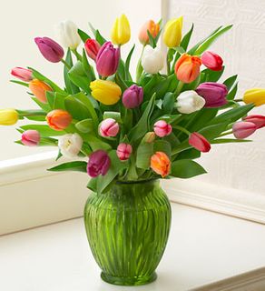 Multicolored Tulips, 20 Stems 