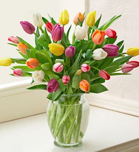 Multicolored Tulips Just because
