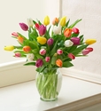 Multicolored Tulips Arrangement Multicolored Tulips Arrangement