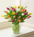 Multicolored Tulips Arrangement