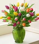 Multicolored Tulips, 30 Stems in clear vase