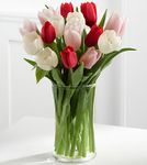 My Heart Tulip Bouquet  My Heart Tulip Bouquet