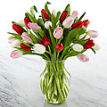 My Heart Tulip 