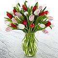 My Heart Tulip 
