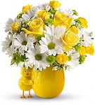 My Little Chickadee My Little Chickadee