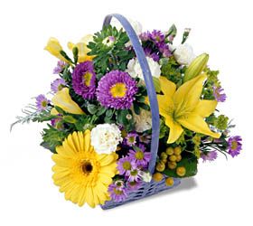 Naturally Nice Basket