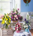 New Baby Arrangements New Baby Arrangements