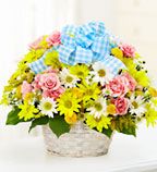 New Baby Basket