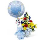 New Baby Boy Celebration New Baby Boy Celebration