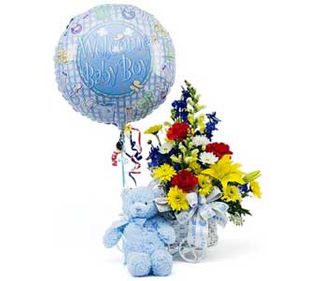 New Baby Boy Celebration 