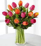 New Dawn Tulip Bouquet