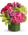 New Sensations- Happy Mother's Day! New Sensations- Happy Mother's Day!