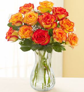 Roses orange