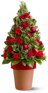 O Tannenbaum