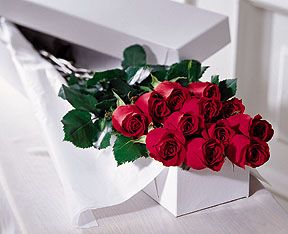 One Dozen Boxed Roses
